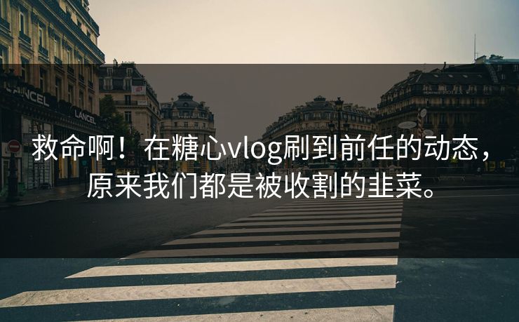 救命啊！在糖心vlog刷到前任的动态，原来我们都是被收割的韭菜。